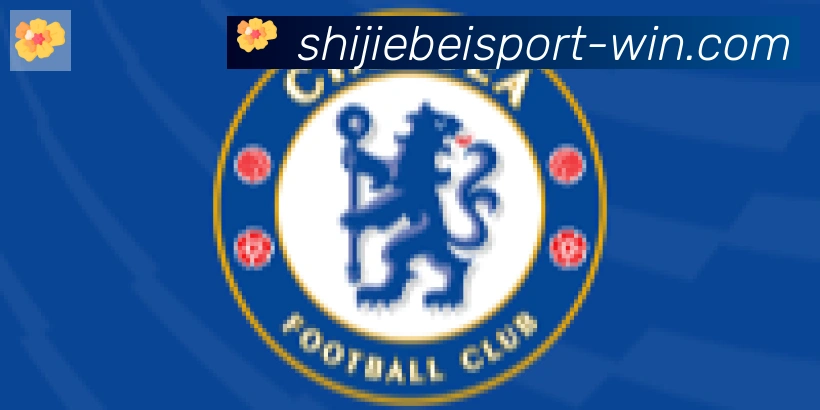 FIFA世界杯买球入口合作伙伴